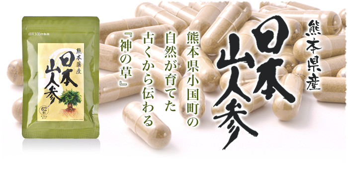 熊本県産 日本山人参 熊本県小国町の自然が育てた古くから伝わる『神の草』